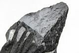 Metallic Wodginite Crystals - Itatiaia Mine, Brazil #214508-2